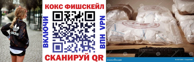 Кокаин FishScale  Чкаловск 