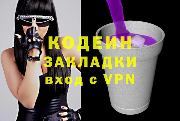 дурь Гусев