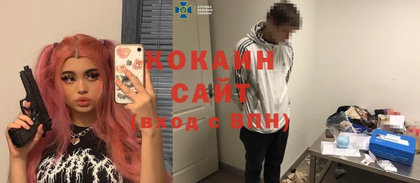 дурь Гусев