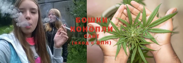 дмт Гусь-Хрустальный
