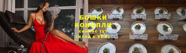 дурь Гусев