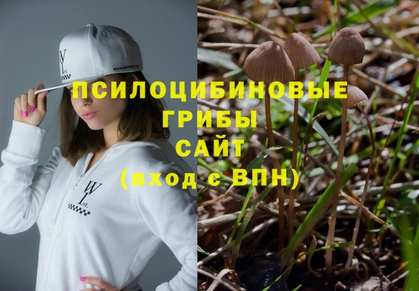 дурь Гусев