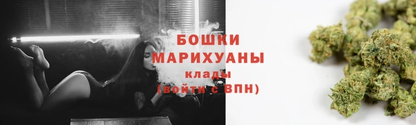 дмт Гусь-Хрустальный