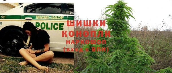 дмт Гусь-Хрустальный